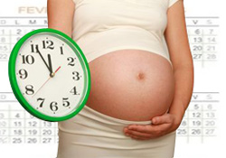 D�couvrez votre calendrier personnalis� de grossesse