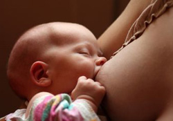 7 conseils pour bien nourrir b�b�