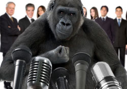 gorille, koko, intelligence