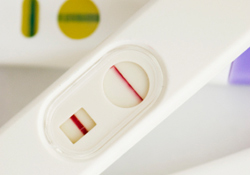 test de grossesse, premiers signes de grossesse